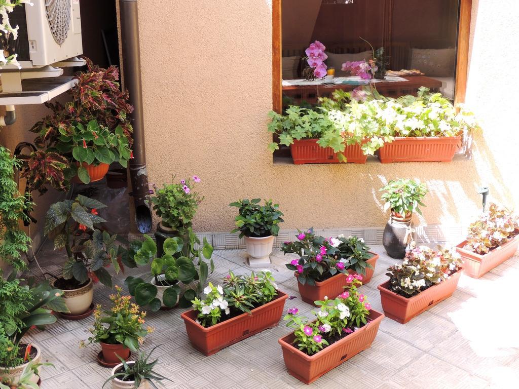 Guest House Solo Shumen Exterior photo
